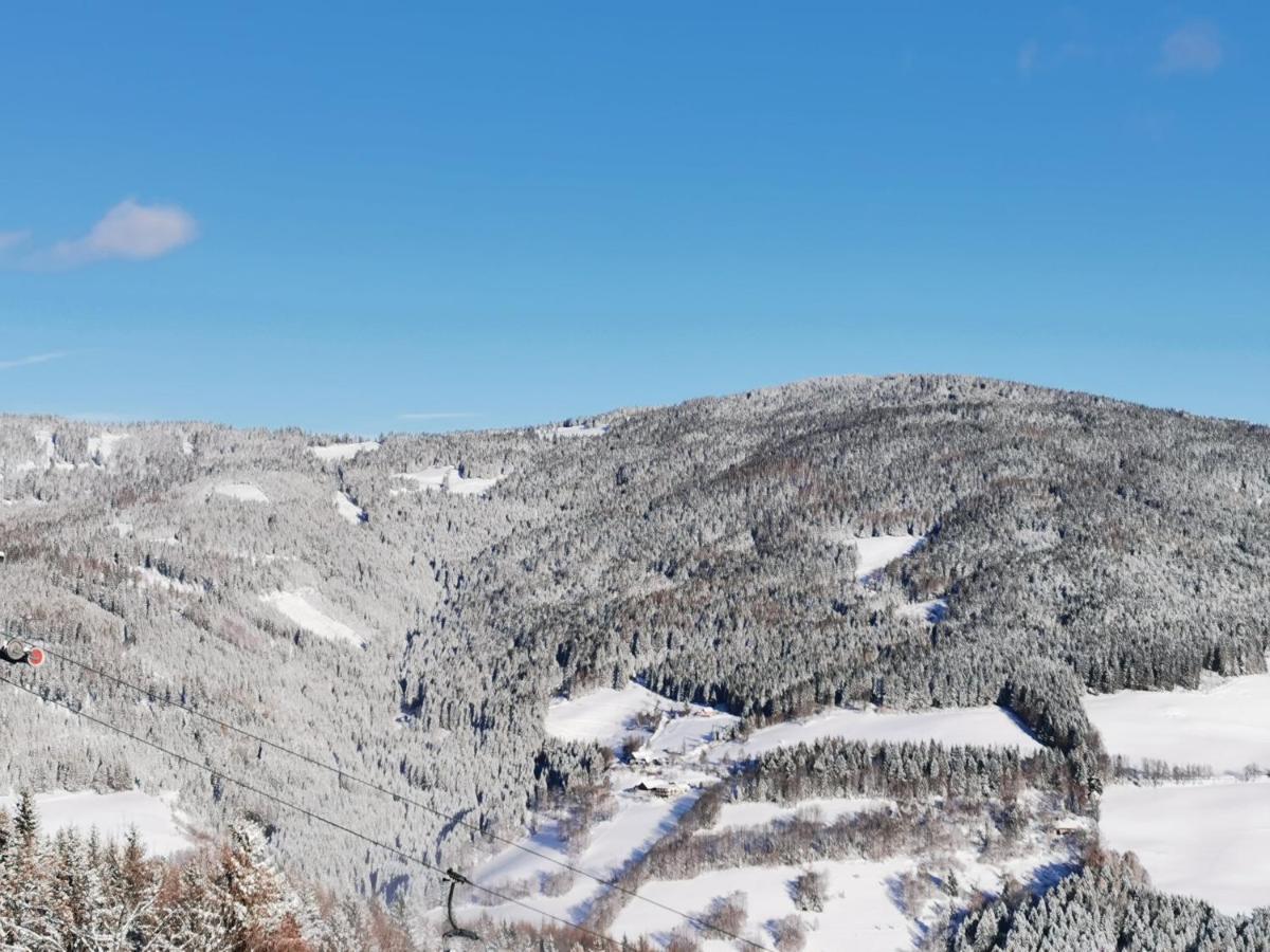 Alpengasthof Fernblick Mönichkirchen エクステリア 写真