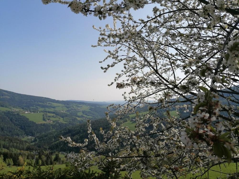 Alpengasthof Fernblick Mönichkirchen エクステリア 写真