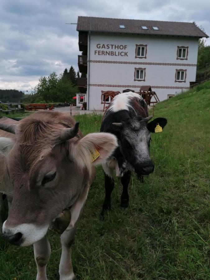 Alpengasthof Fernblick Mönichkirchen エクステリア 写真